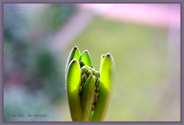 IMGP0477