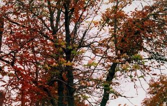 Entry for April 02, 2006
