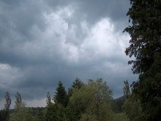 Entry for May 09, 2006