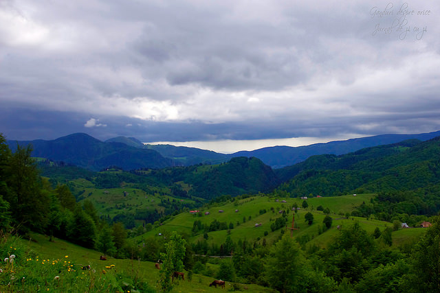 Poza zilei… de miercuri…